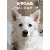 宠物免洗手套湿巾10包（60片）