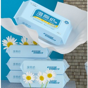 湿厕纸婴儿宝宝擦屁股家用湿手纸厕巾男女私处清洁护理湿巾40抽(蓝) 1包