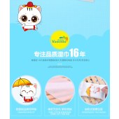 10片装湿巾婴儿抽取式便携小包湿纸巾十片一次性清洁湿巾母婴礼品打伞猫