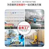 航空湿巾独立装湿纸巾一次性无纺布酒店外卖湿巾纸巾小包商务湿巾卡通熊猫1片