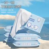 10包整箱大包抽取手口清洁湿巾随身便携装婴儿学生宿舍一次性湿巾