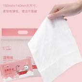 50单片独立包装湿厕纸厕巾湿手纸婴儿擦屁股提装成人卫生护理湿巾