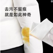 多功能擦羽绒服清洁湿巾便携去污渍免水洗擦拭棉衣干洗去油湿纸巾